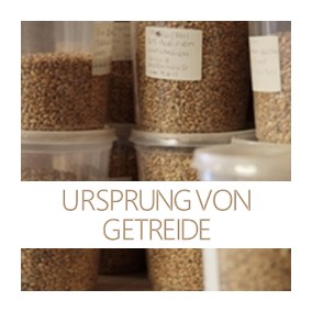 DE ursprung von getreide