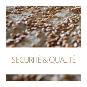 FR securite qualite