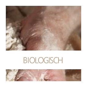 Biologisch