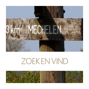 Zoek en vind